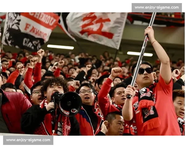 河南队通报成都球迷严重违规 恶意涂鸦亵渎足球精神